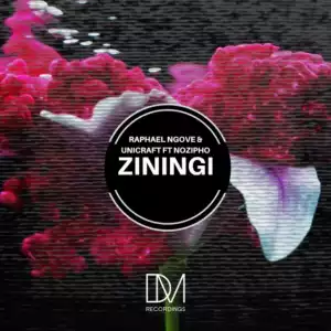 Raphael Ngove - Ziningi (Original Mix) ft. UniCraft, Nozipho